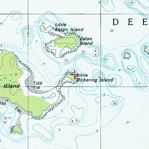 Topographic Map of Little Pickering Island, ME