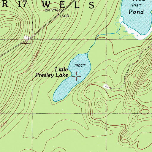 Topographic Map of Little Presley Lake, ME
