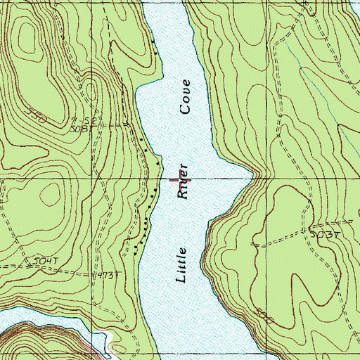 Topographic Map of Little River Cove, ME