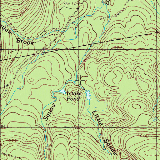 Topographic Map of Little Moose Brook, ME