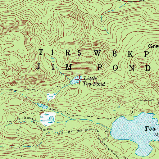Topographic Map of Little Tea Pond, ME
