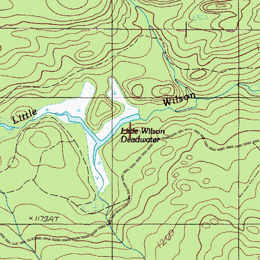Topographic Map of Little Wilson Deadwater, ME