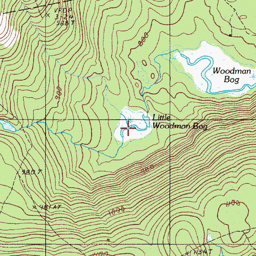Topographic Map of Little Woodman Bog, ME