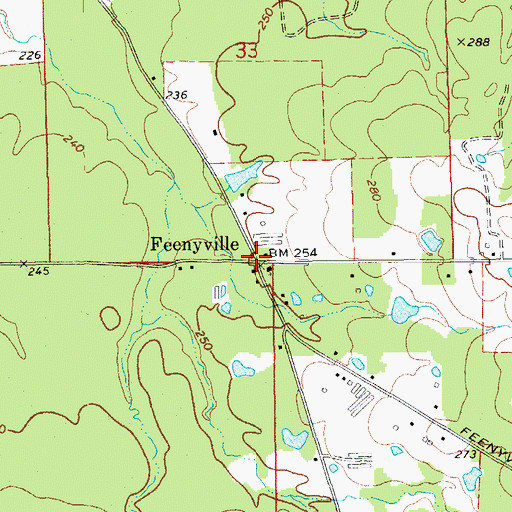 Topographic Map of Feenyville, AR