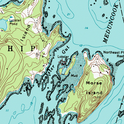 Topographic Map of Lobster Gut, ME