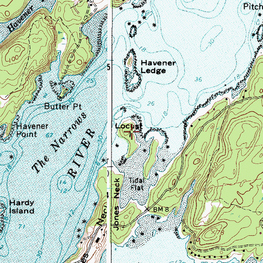 Topographic Map of Locust Island, ME