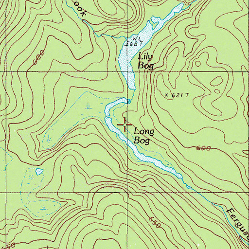 Topographic Map of Long Bog, ME