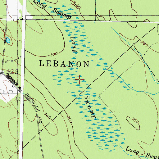 Topographic Map of Long Swamp, ME