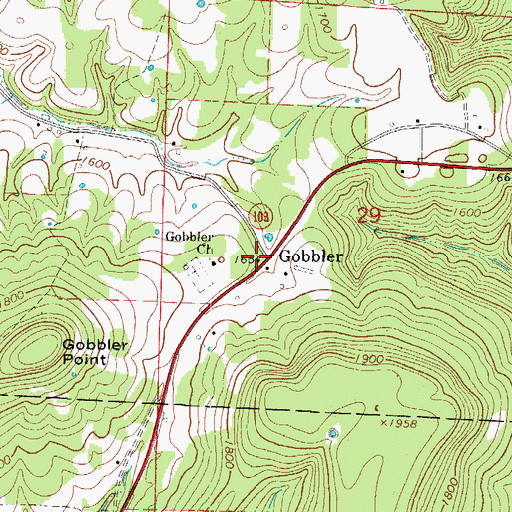 Topographic Map of Gobbler, AR