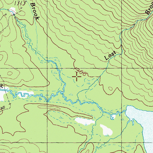 Topographic Map of Lost Brook, ME