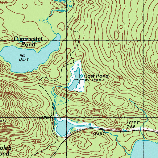 Topographic Map of Lost Pond, ME