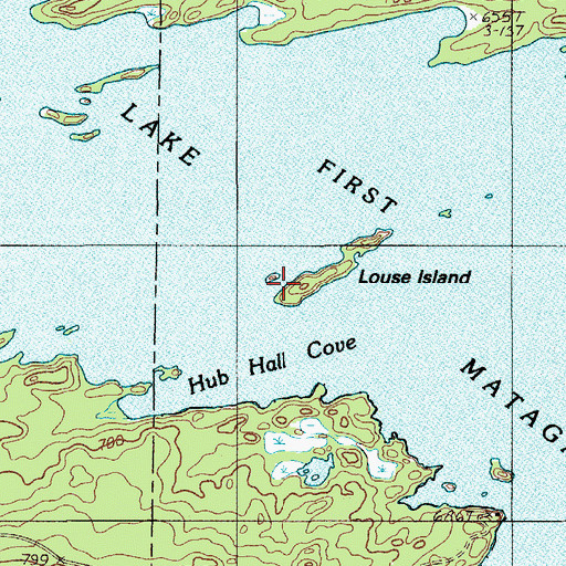 Topographic Map of Louse Island, ME