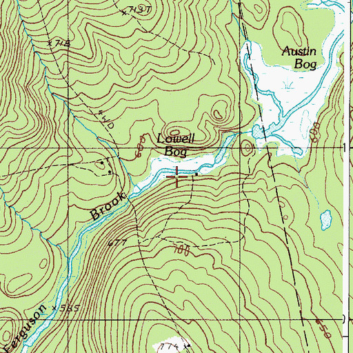 Topographic Map of Lowell Bog, ME