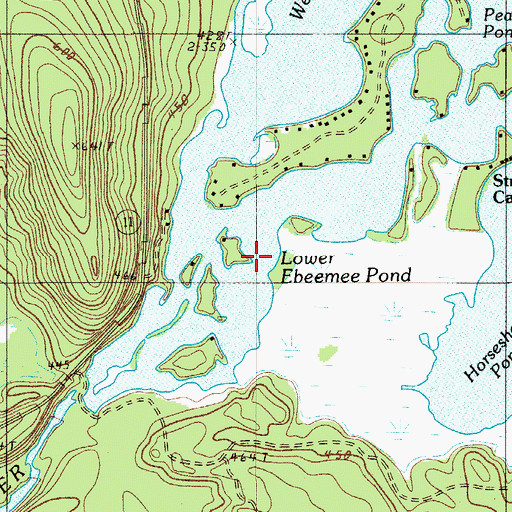 Topographic Map of Lower Ebeemee Pond, ME