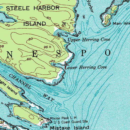 Topographic Map of Lower Herring Cove, ME