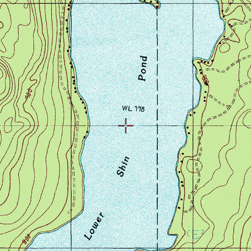 Topographic Map of Lower Shin Pond, ME
