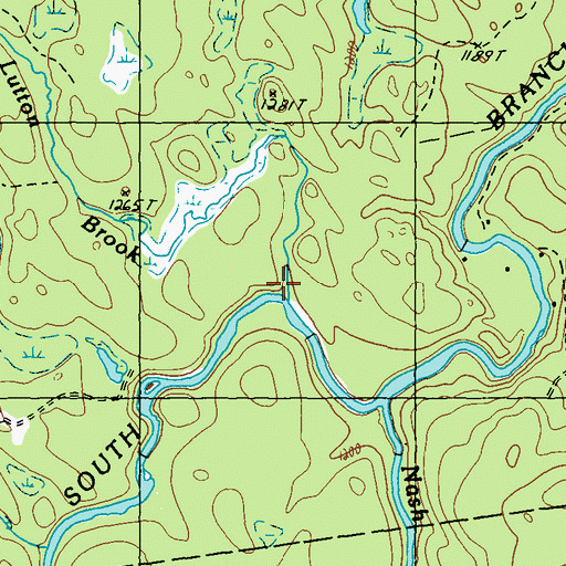 Topographic Map of Lutton Brook, ME