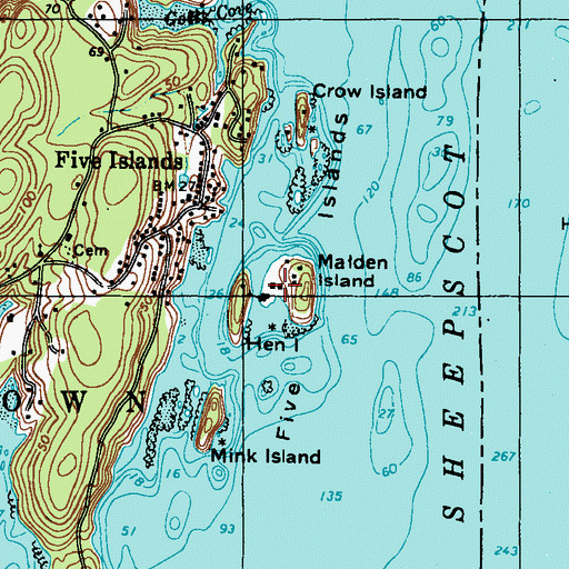 Topographic Map of Malden Island, ME