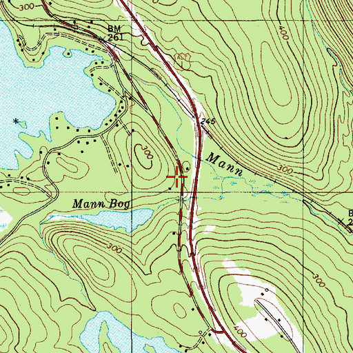 Topographic Map of Mann Bog, ME