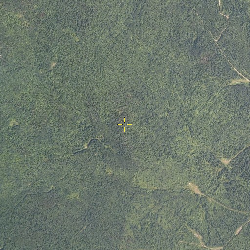 Aerial/Satellite Image of Mann Hill, ME