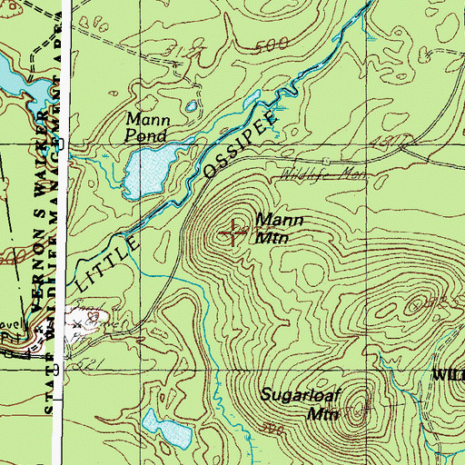 Topographic Map of Mann Mountain, ME