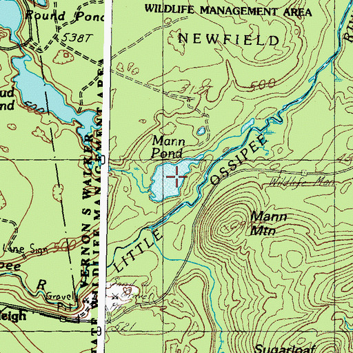 Topographic Map of Mann Pond, ME