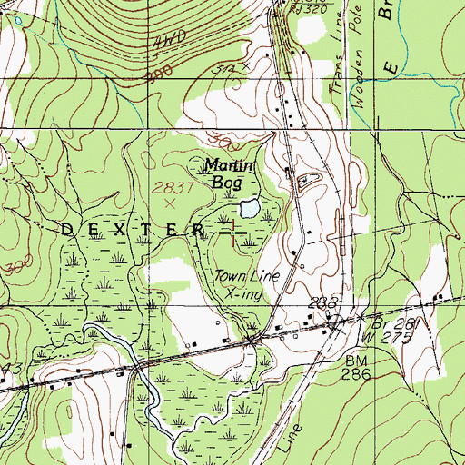 Topographic Map of Martin Bog, ME