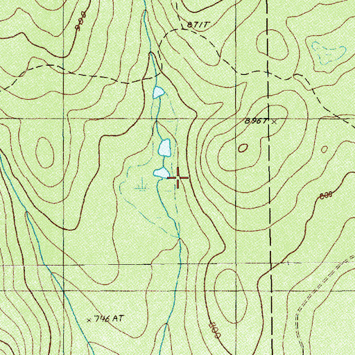 Topographic Map of Martins Camp, ME