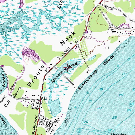 Topographic Map of Massacre Pond, ME