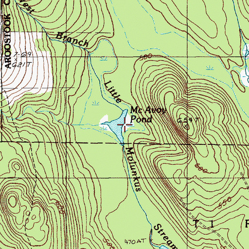 Topographic Map of McAvoy Pond, ME