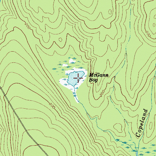 Topographic Map of McGann Bog, ME