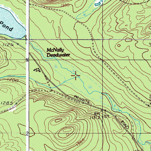 Topographic Map of McNally Deadwater, ME
