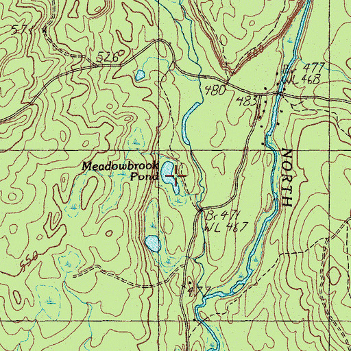 Topographic Map of Meadowbrook Pond, ME
