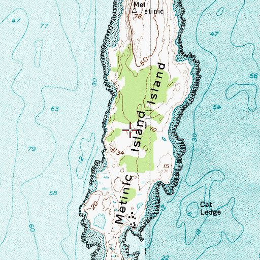 Topographic Map of Metinic Island, ME