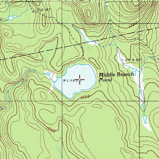 Topographic Map of Middle Branch Pond, ME