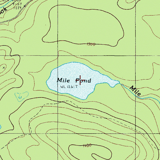 Topographic Map of Mile Pond, ME