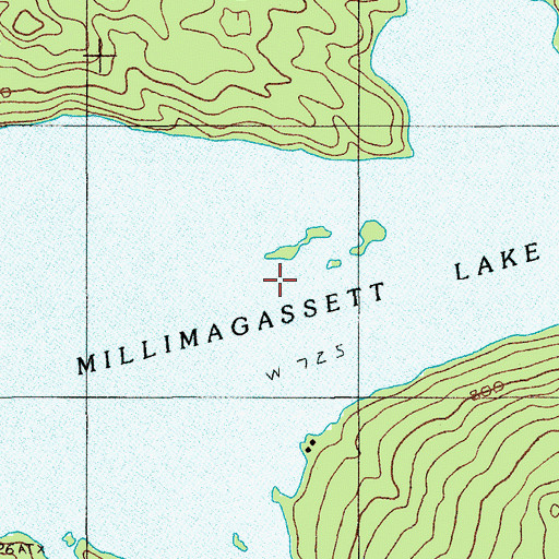 Topographic Map of Millimagassett Lake, ME