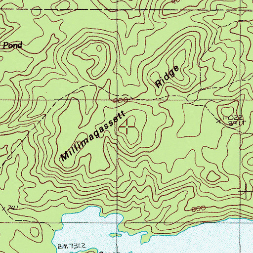 Topographic Map of Millimagassett Ridge, ME