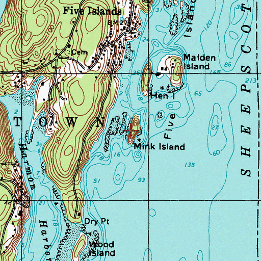 Topographic Map of Mink Island, ME