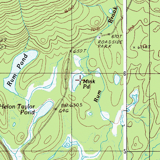 Topographic Map of Mink Pond, ME