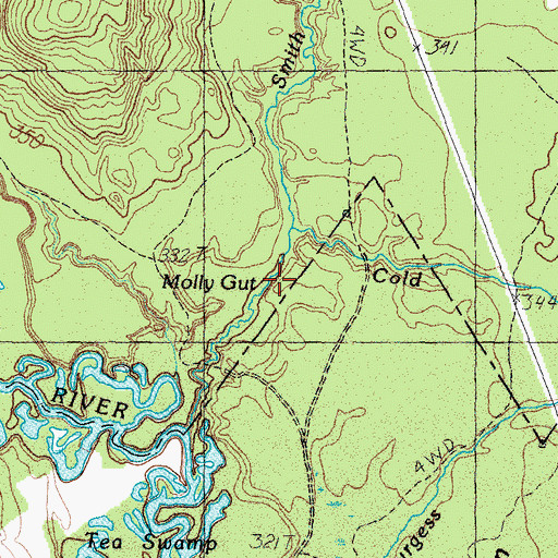 Topographic Map of Molly Gut, ME