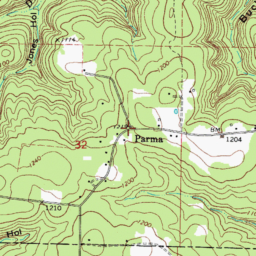 Topographic Map of Parma, AR