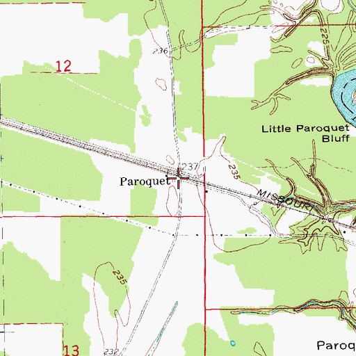 Topographic Map of Paroquet, AR