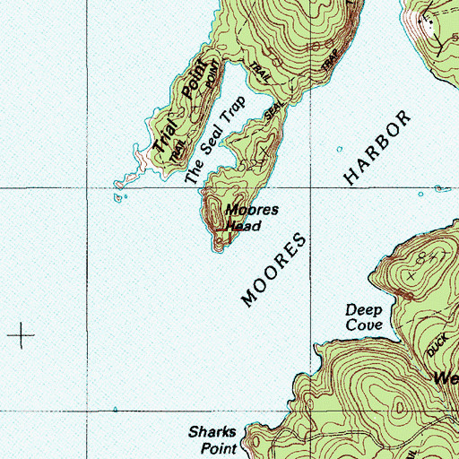 Topographic Map of Moores Head, ME