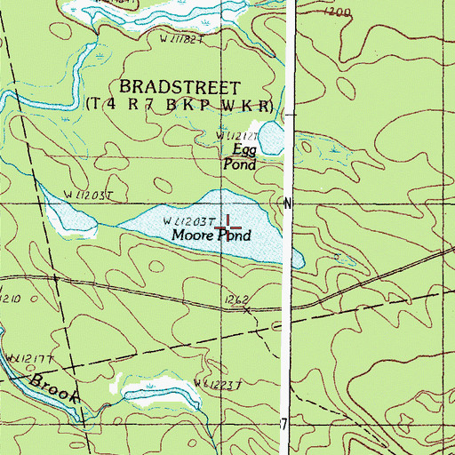 Topographic Map of Moore Pond, ME