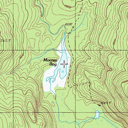Topographic Map of Moores Bog, ME