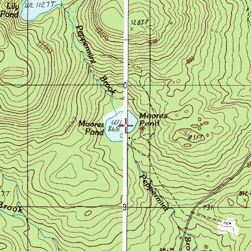 Topographic Map of Moores Pond, ME