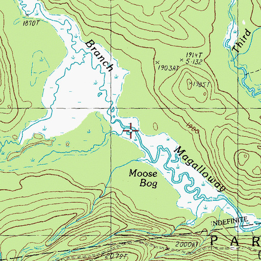 Topographic Map of Moose Bog Brook, ME
