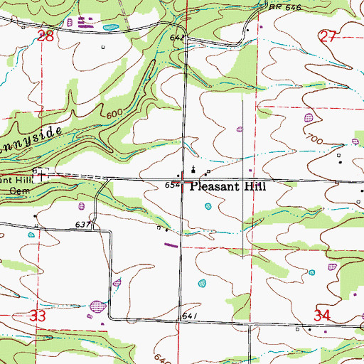 Topographic Map of Pleasant Hill, AR