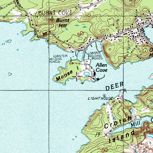 Topographic Map of Moose Island, ME